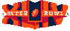 Super Bowl XLIV